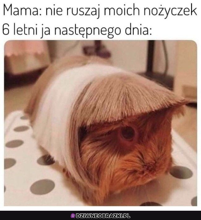 Tak było