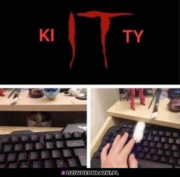 Nowy horror