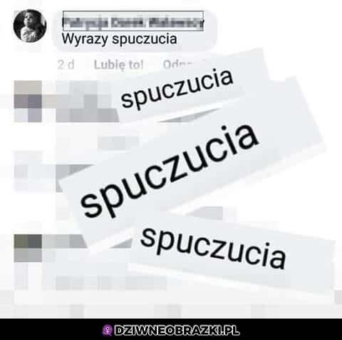 Wyrazy czego?
