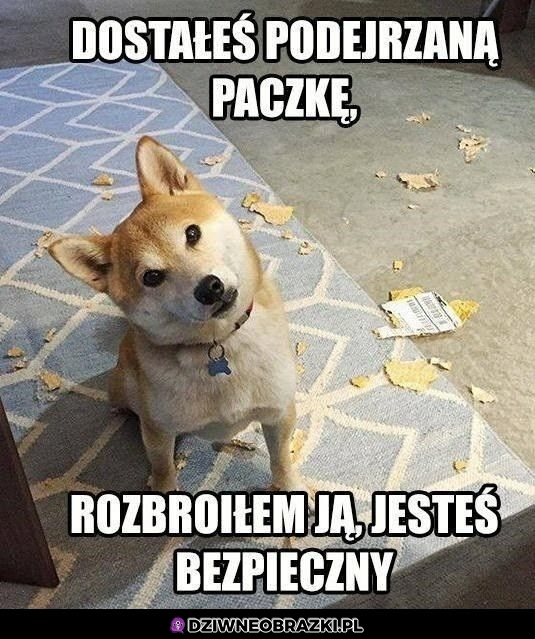 Nie musisz dziękować