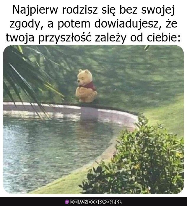 I jak tu żyć 