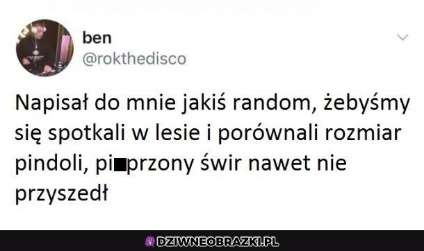 Co za świr