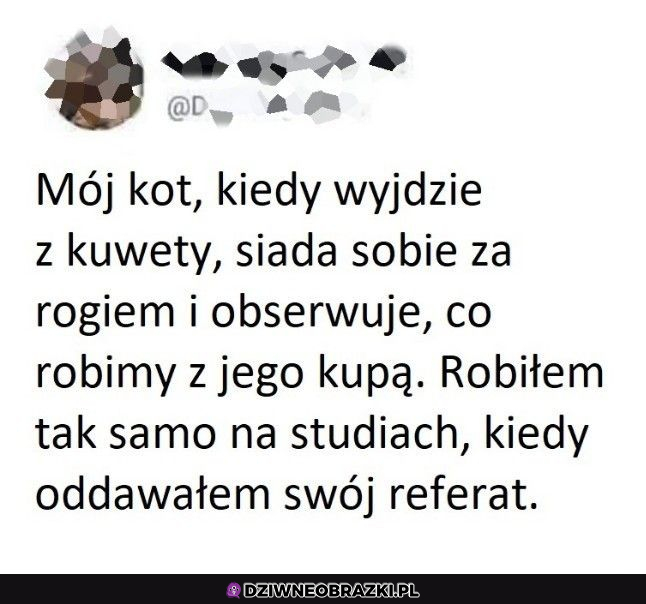 Tak było