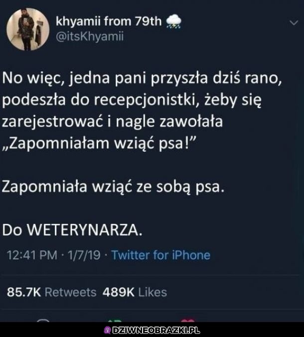 Zapominalska
