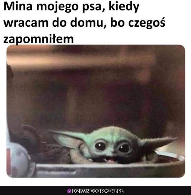 Ta mina