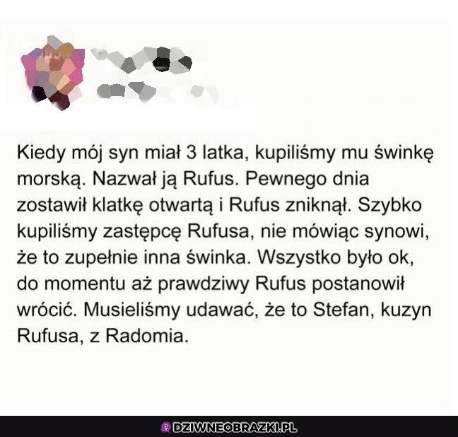 Kiedy musisz udawać