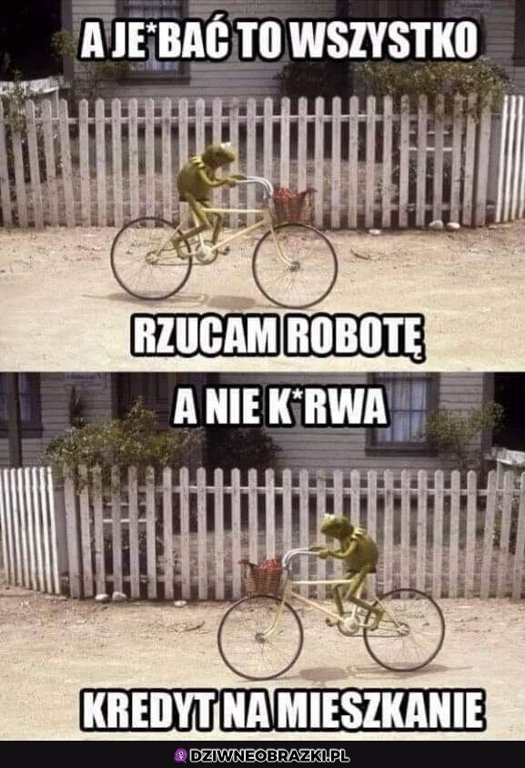 A jednak nie