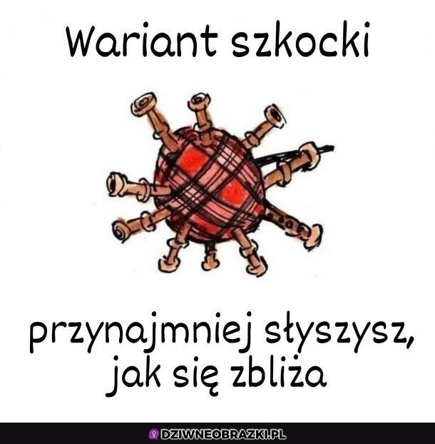 Szkocki wariant