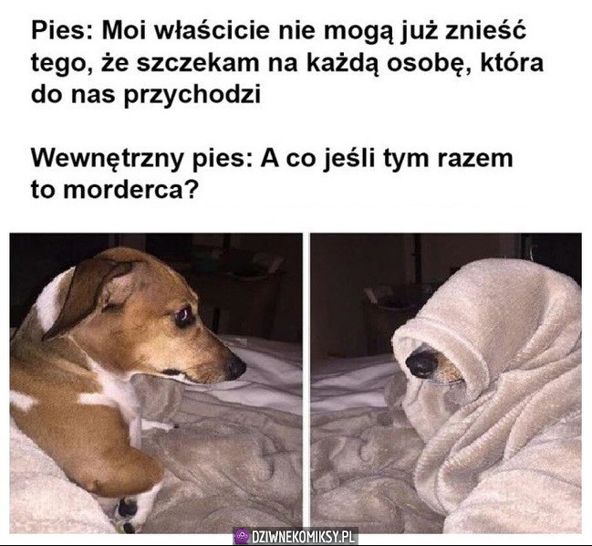 A co jeśli?