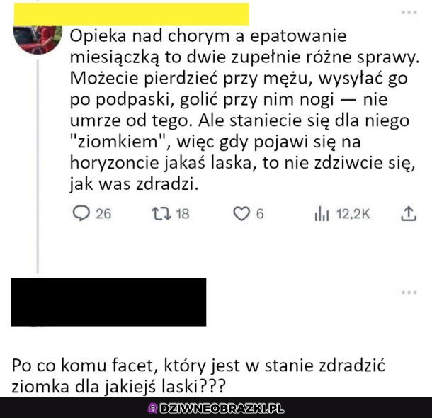Ziomki ponad wszystko
