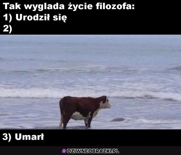 Tyle o nich wiemy