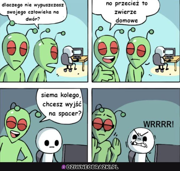 Zwierzę domowe