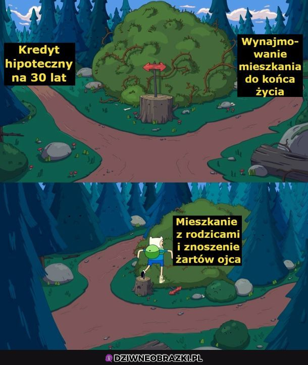 Którą drogę wybrać?