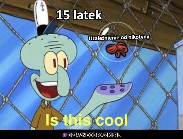 Fajeczki
