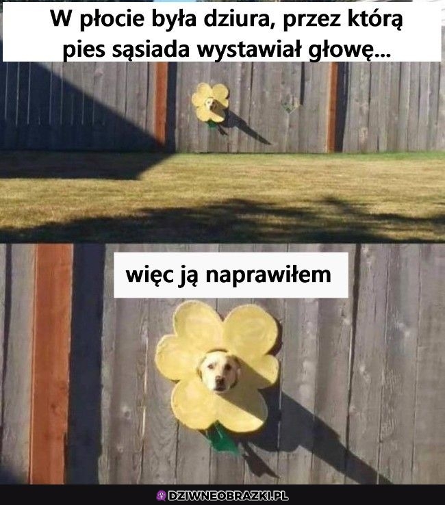 Idealnie