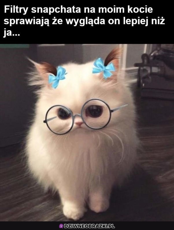 Bez kitu to