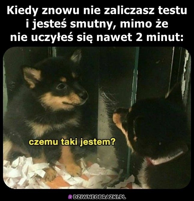 Ten moment