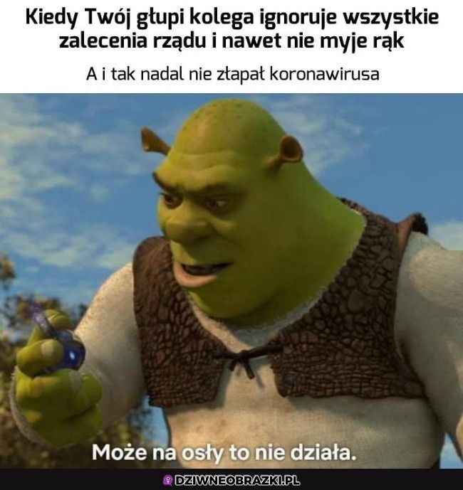 Może