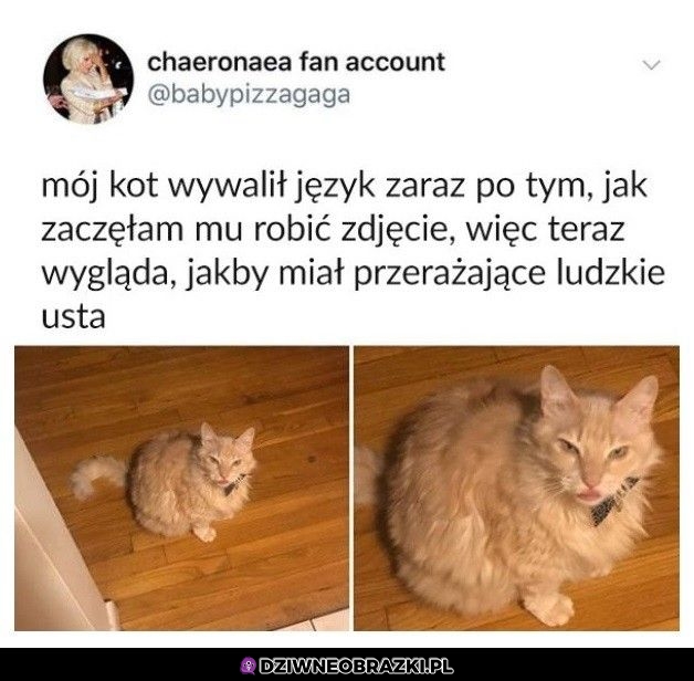 Tak wygląda