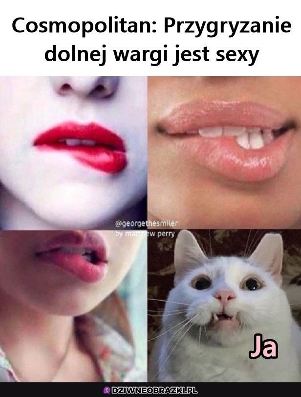 A tymczasem ja