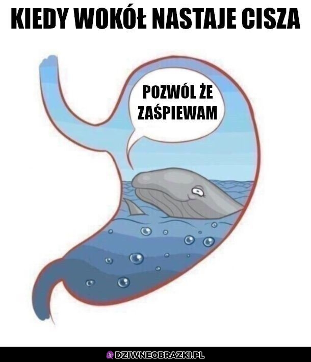 Za każdym razem