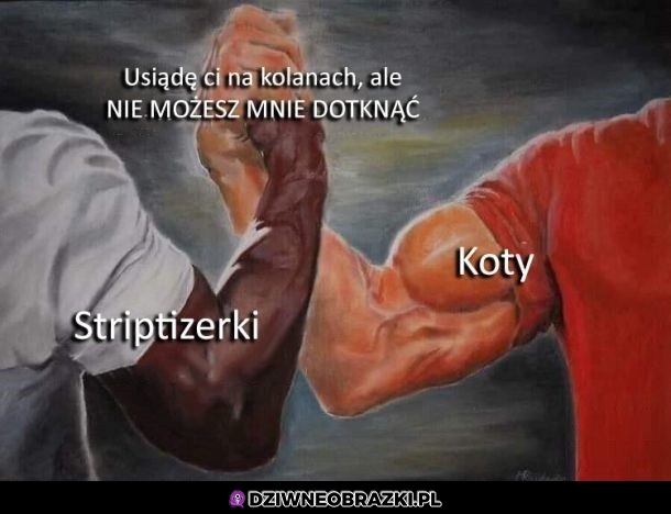 Sojusz