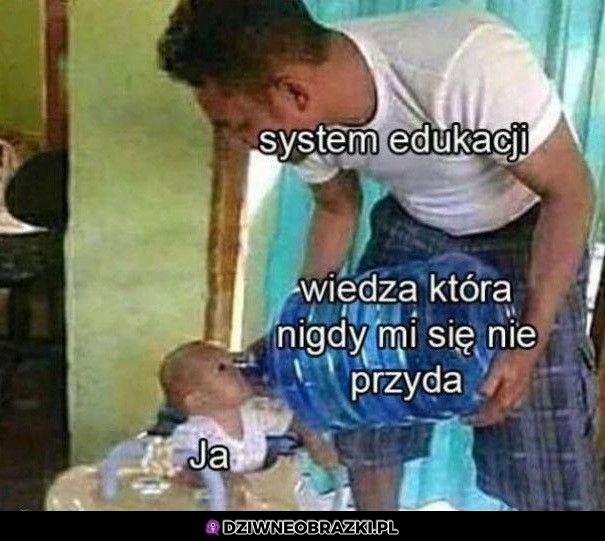 Tak to wygląda