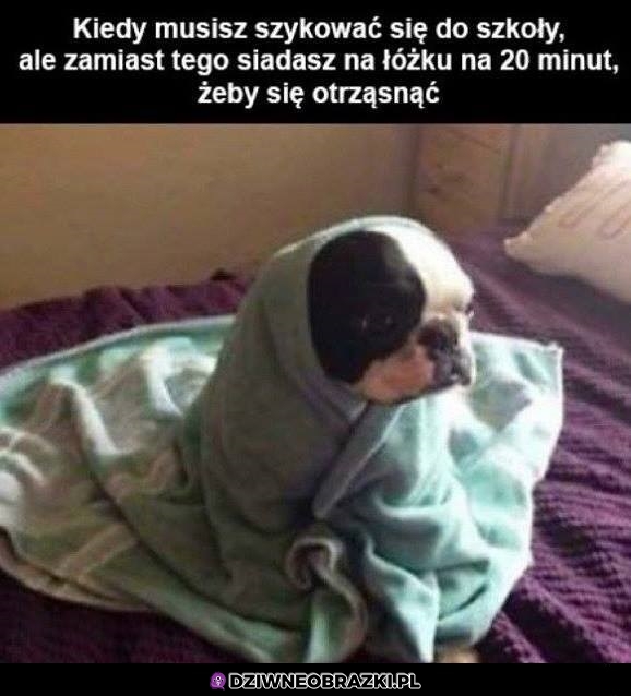 Jak można tak żyć