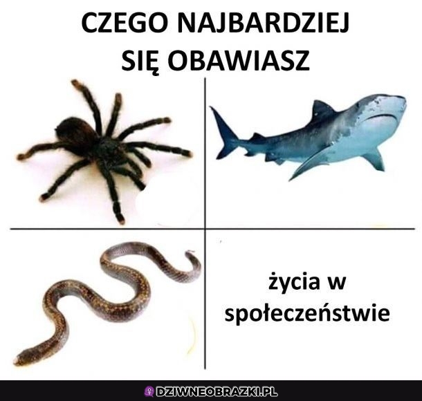 Straszne rzeczy
