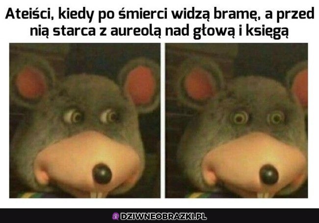 O.o