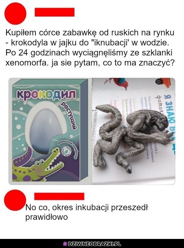 Idealny