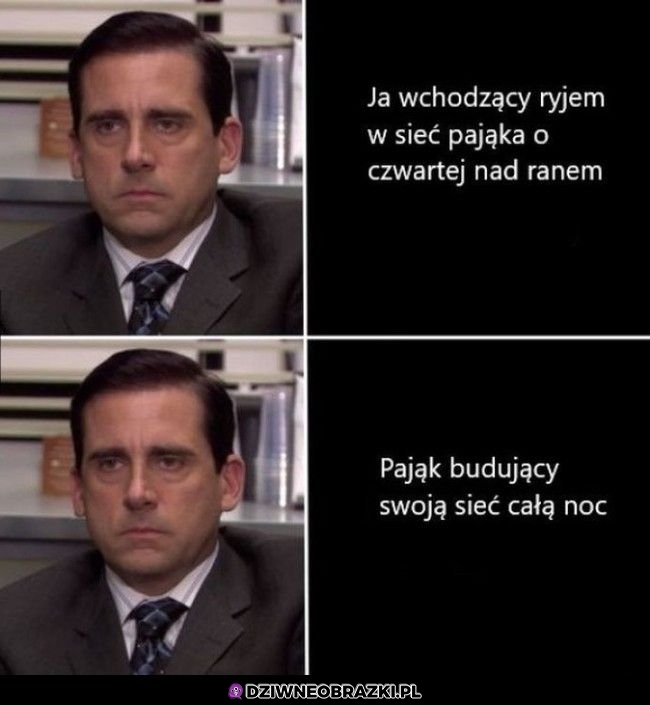 Poranki w lesie takie są