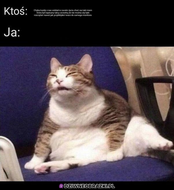 To ja