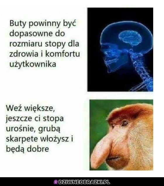 Wybór butów