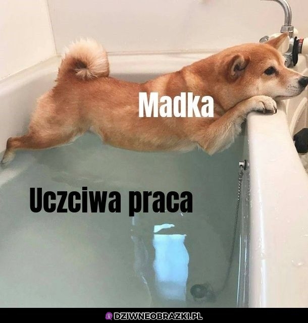 Madki