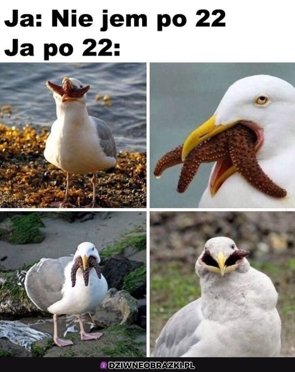 Zawsze to samo