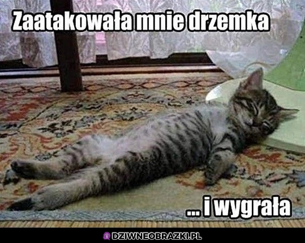 Podstępny napastnik