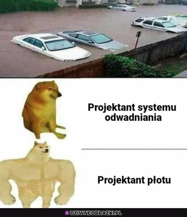 Andy Anderson płot budował