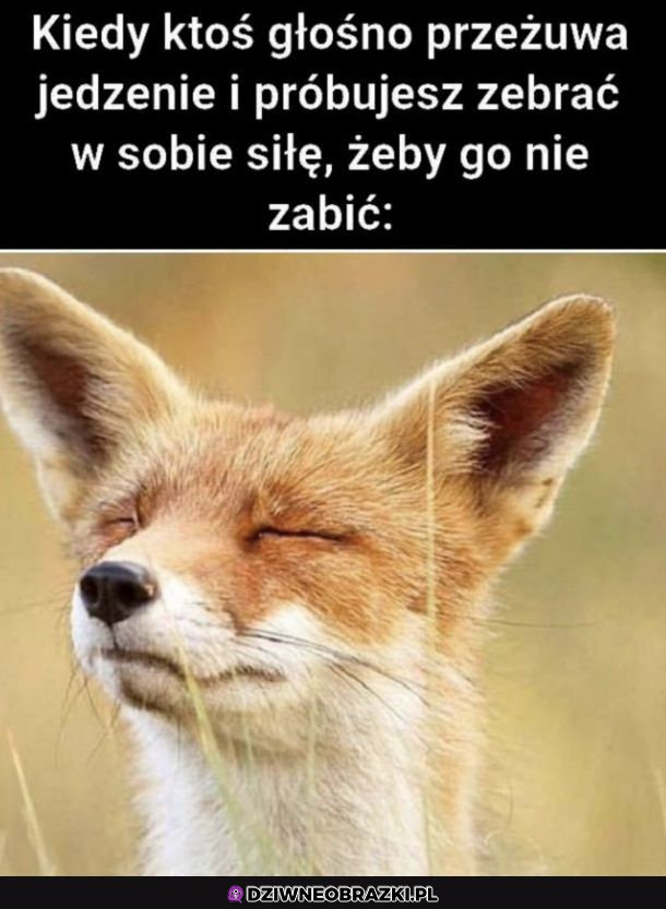 Boże daj mi siłę 