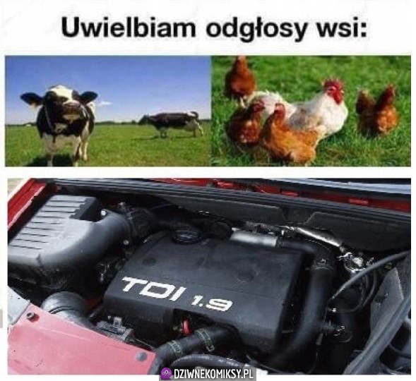 Odgłosy wsi