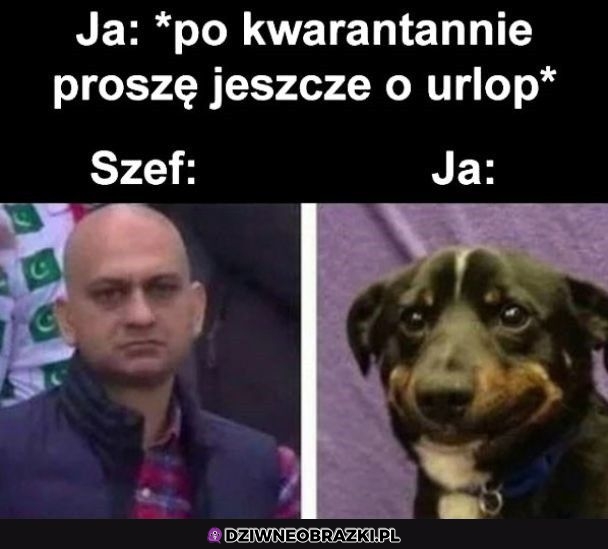Jeszcze urlopik poproszę
