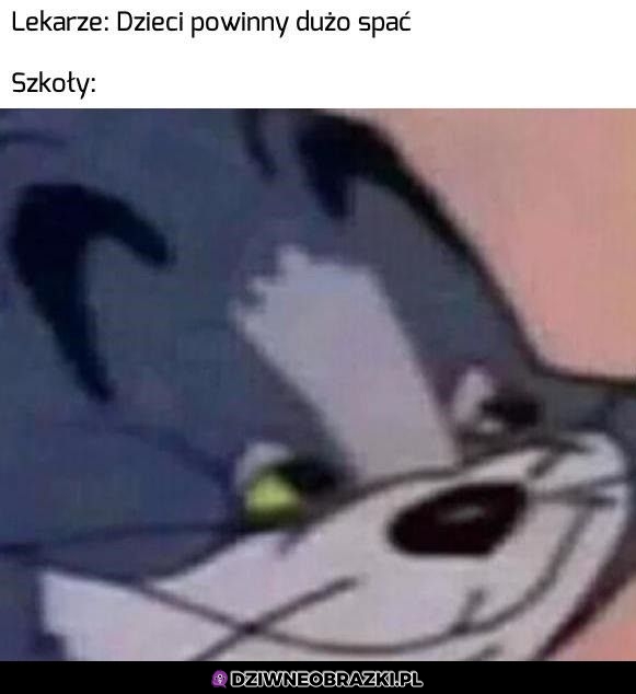 I cyk na 8smą