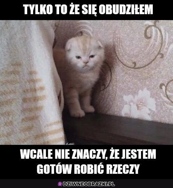 Właśnie