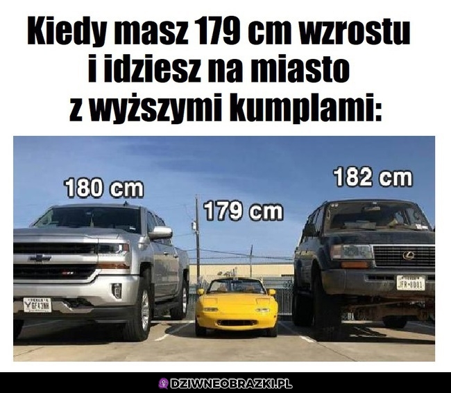 Kurdupel