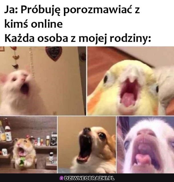 Ten moment