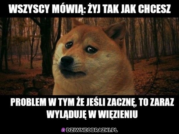 Właśnie