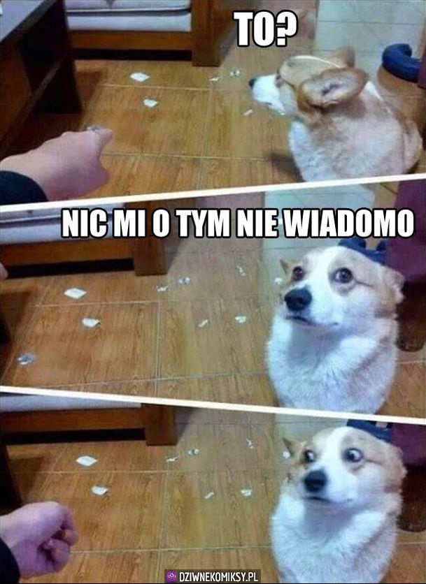 Ale o co chodzi?