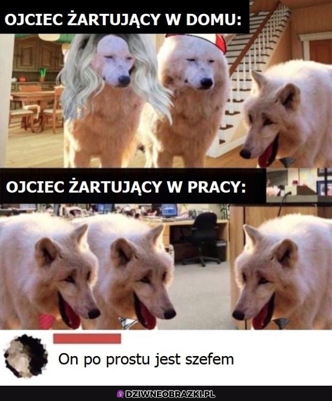 Ojcowie tacy są