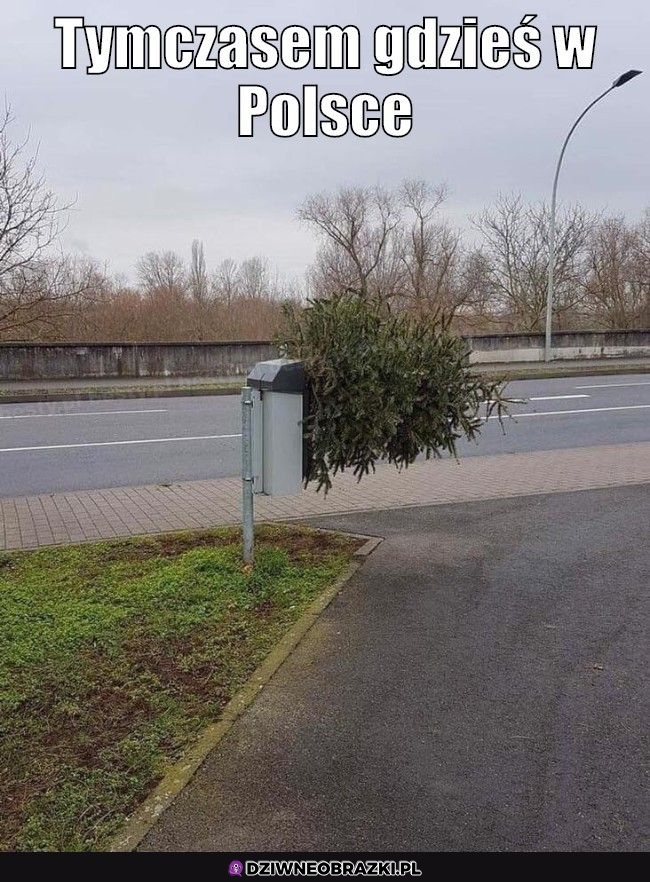 Wyniósł to wyniósł