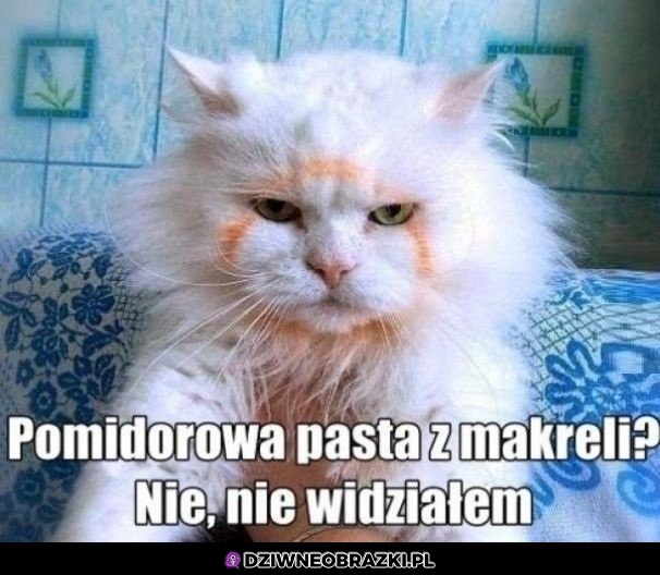Nawet nie słyszałem o niej